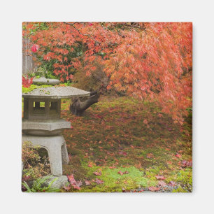 Imã WA, Seattle, Arboreto do Parque Washington, Japonê