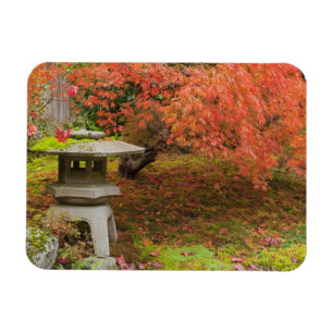Ímã WA, Seattle, Arboreto do Parque Washington, Japonê