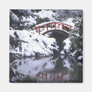 Imã WA, Seattle, Ponte da Lua e lago após o inverno 2