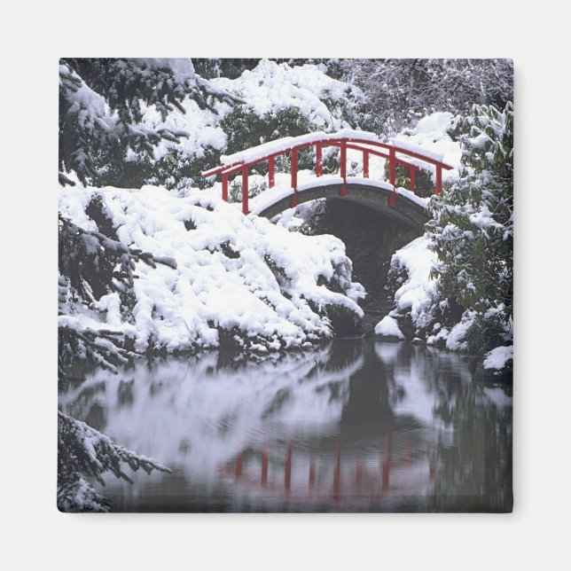 Imã WA, Seattle, Ponte da Lua e lago após o inverno 2 (Frente)