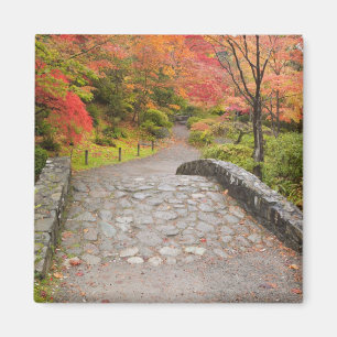 Imã WA, Seattle, Washington Park Arboretum,