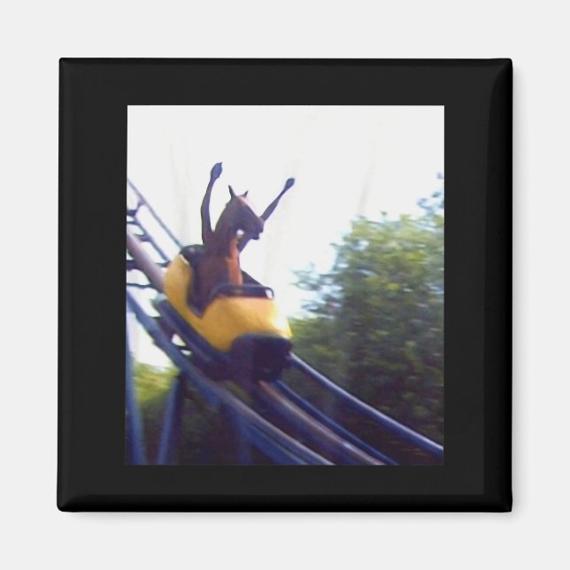 Imã Wacky Horse Riding Roller Coaster Meme Internet Fu (Frente)