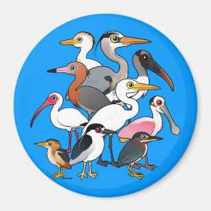 Imã Waders norte-americanos