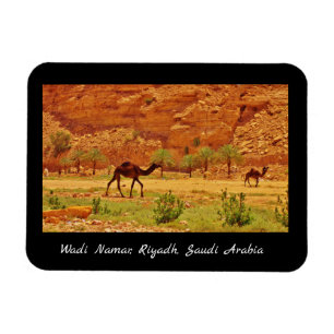 Ímã Wadi Namar, Riyadh, Arábia Saudita