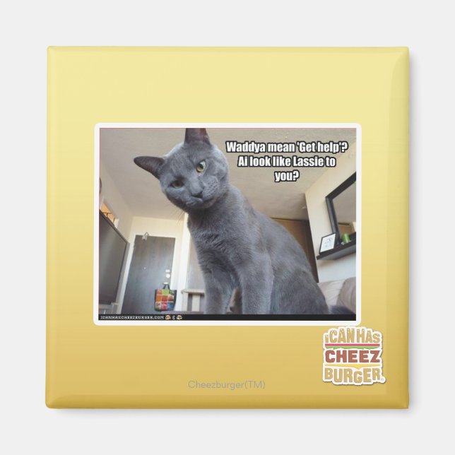 Imã Wadya quer dizer "Busca ajuda"? (Frente)