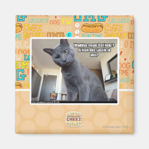 Imã Wadya quer dizer "Busca ajuda"?