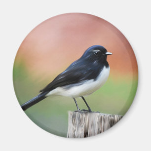 Imã Wagtail de Willy - arte australiana do pássaro