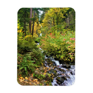 Ímã Wahkeena Falls, Columbia River Gorge, Oregon