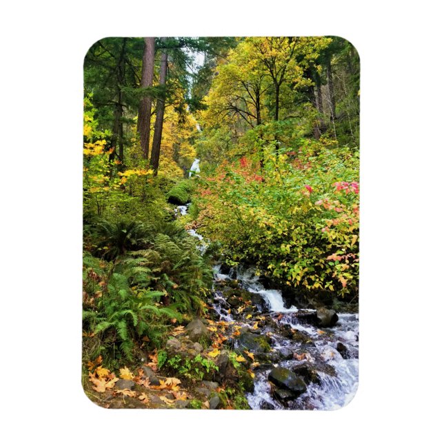 Ímã Wahkeena Falls, Columbia River Gorge, Oregon (Vertical)