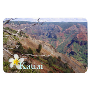 Ímã Waimea Canyon 1