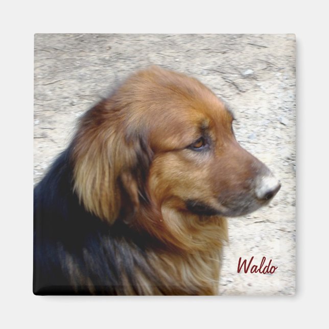 Imã Waldo Magnet (Frente)