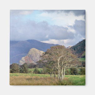 IMÃ WALES