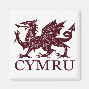 Imã Wales CYMRU