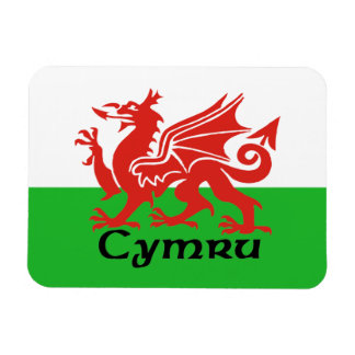 Ímã Wales Flag Magnet