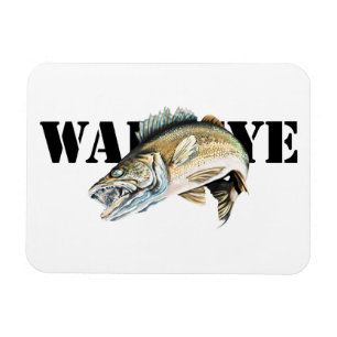 Ímã Walleye