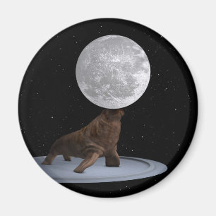 Imã Walrus Balancing The Moon
