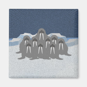 Imã Walrus Magnet