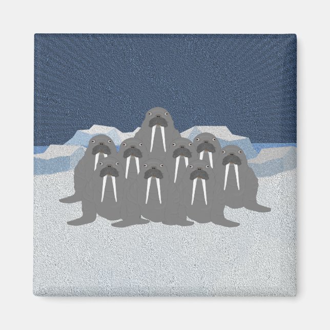Imã Walrus Magnet (Frente)