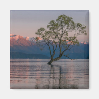Imã Wanaka Tree, Magnet Nova Zelândia