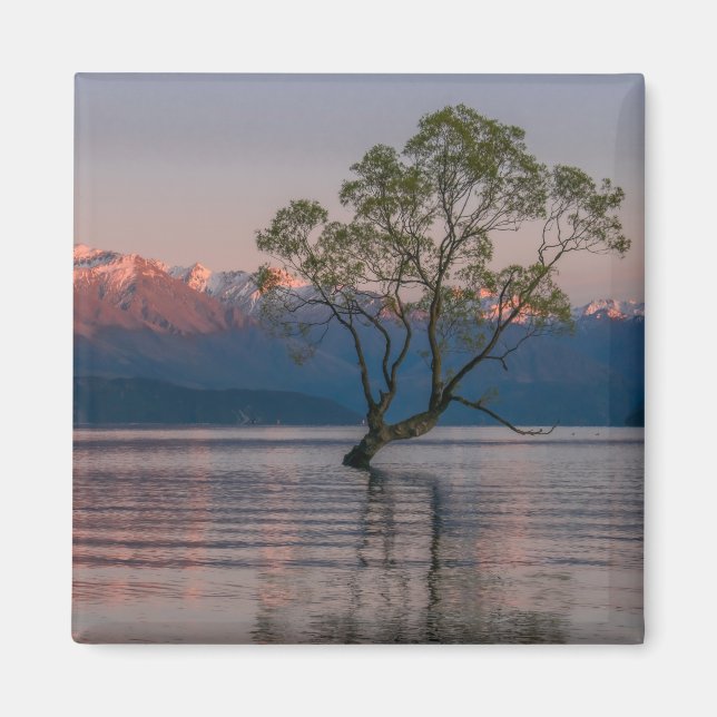Imã Wanaka Tree, Magnet Nova Zelândia (Frente)