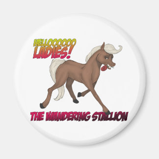 Imã Wandering Stallion