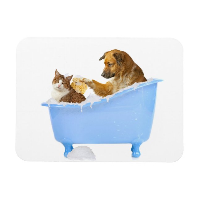 Ímã Wash de Gato (Horizontal)