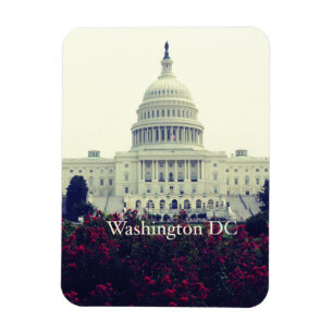 Ímã Washington DC