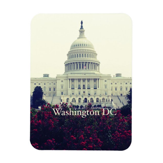 Ímã Washington DC (Vertical)