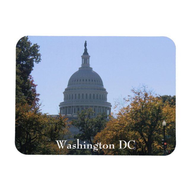 Ímã Washington DC Magnet (Horizontal)