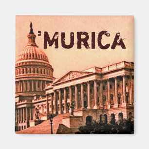 Imã Washington DC Murica América 1900 da construção