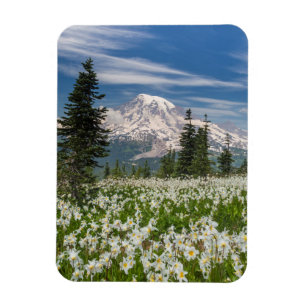 Ímã Washington, Parque Nacional Mount Rainier 1