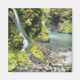 Imã Washington, Parque Nacional Olímpico, Sazonal