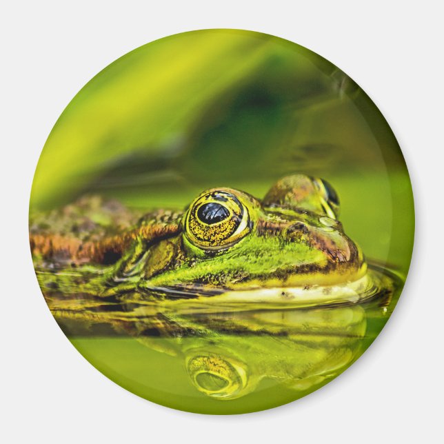 Imã Wasserfrosch (Frente)