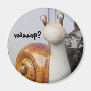 Imã Wassup?!