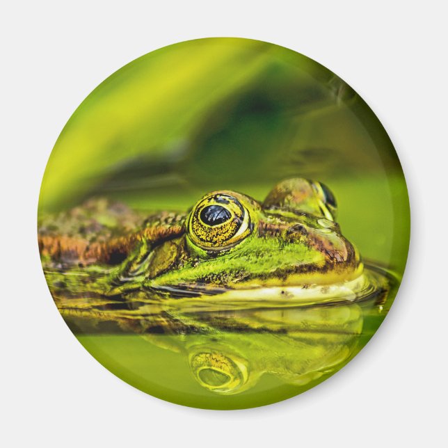 Imã water frog (Frente)