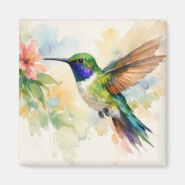 Imã Watercolor Hummingbird