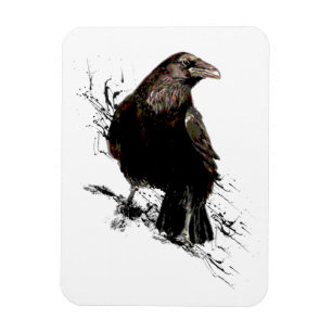 Ímã Watercolor Raven Bird Art