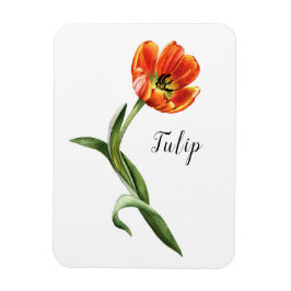 Ímã Watercolor Tulip Floral