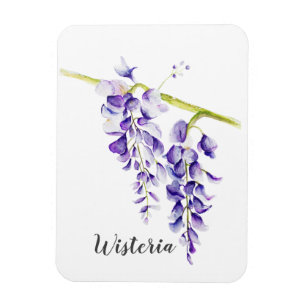Ímã Watercolor Wisteria Botanical