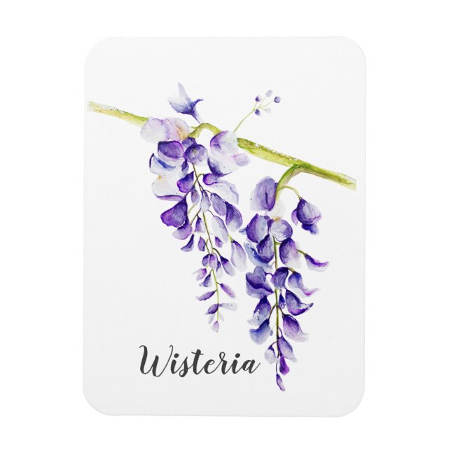 Ímã Watercolor Wisteria Botanical (Vertical)
