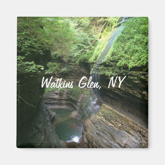 Imã Watkins Glen Refrigerator Magnet