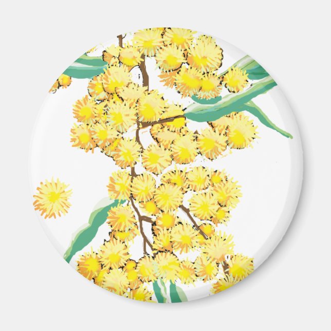 Imã watt australiano (Frente)