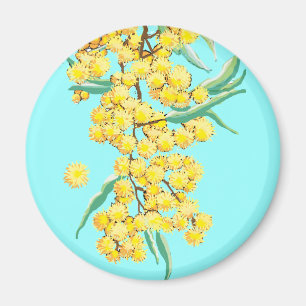 Imã Wattle australiano