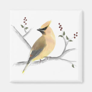 Imã Waxwing Magnet Cedar Watercolor