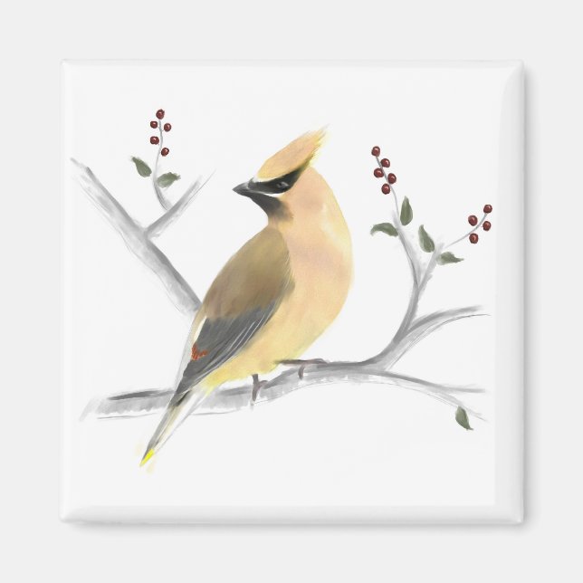 Imã Waxwing Magnet Cedar Watercolor (Frente)