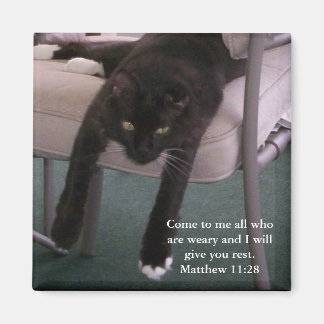 Imã Weary Mr B Magnet