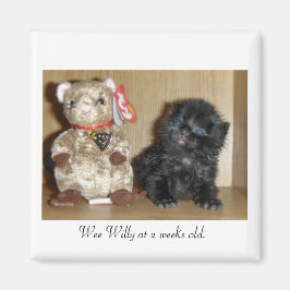 Imã WEEWILLY vs 4 polegadasBB-1, Wee Willy com 2 seman