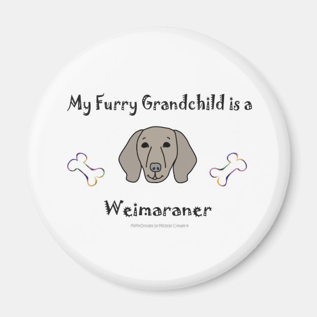 Imã Weimaraner (Frente)