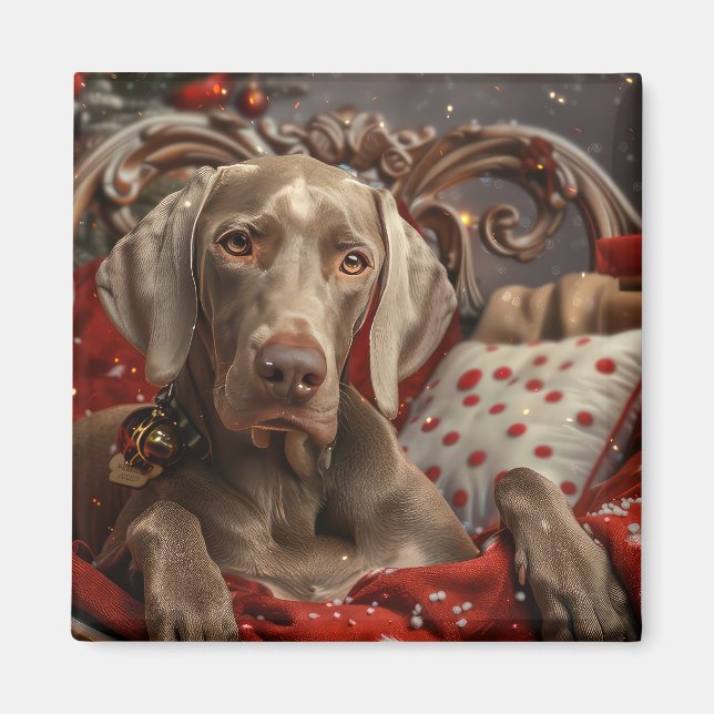 Imã Weimaraner Cão Festivo de Natal (Frente)