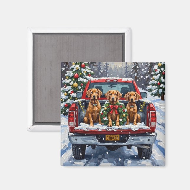 Imã Weimaraner Christmas Red Truck Holiday (Front/Back)